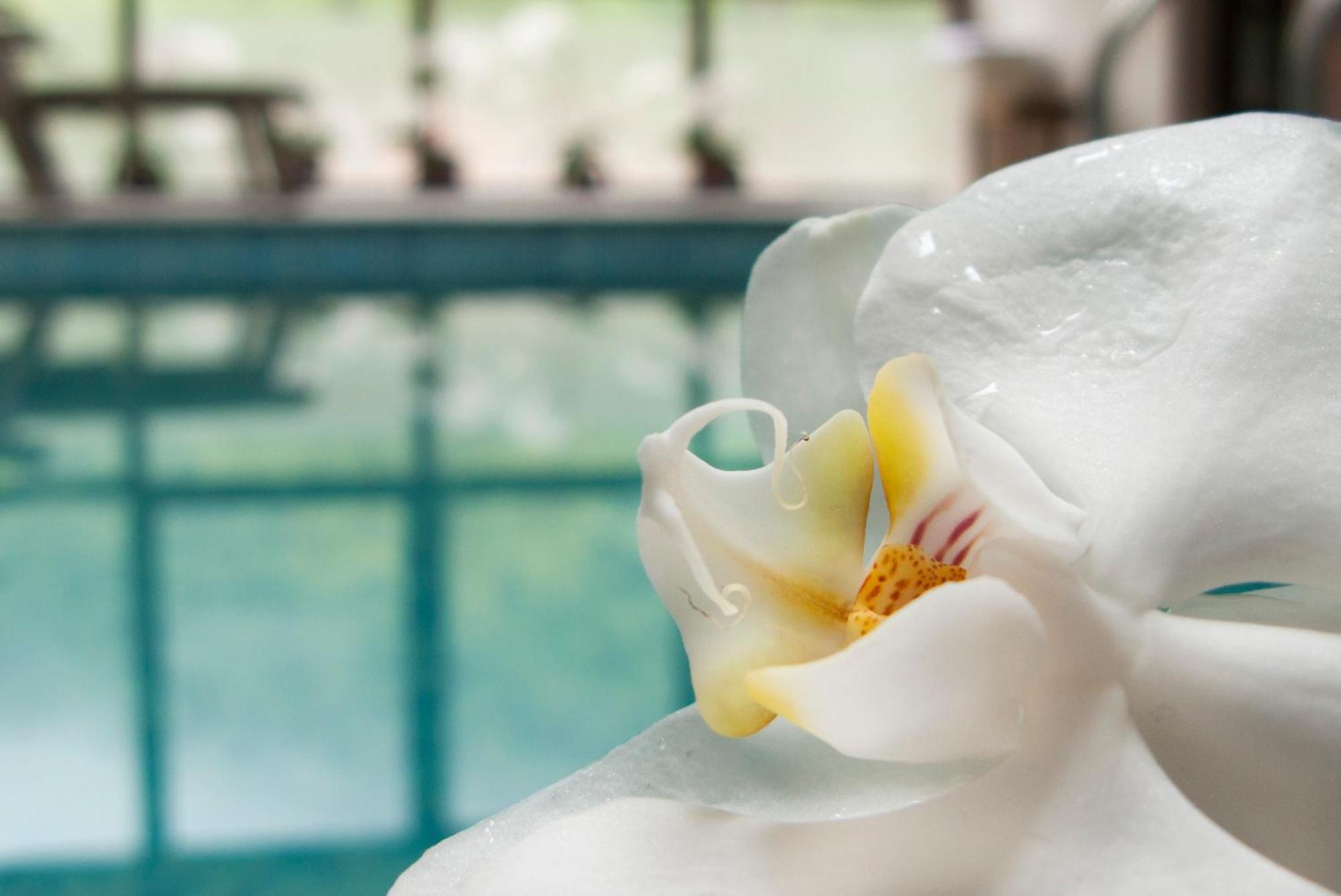 Aqua Varvara Hotel Vetren Dol Luaran gambar